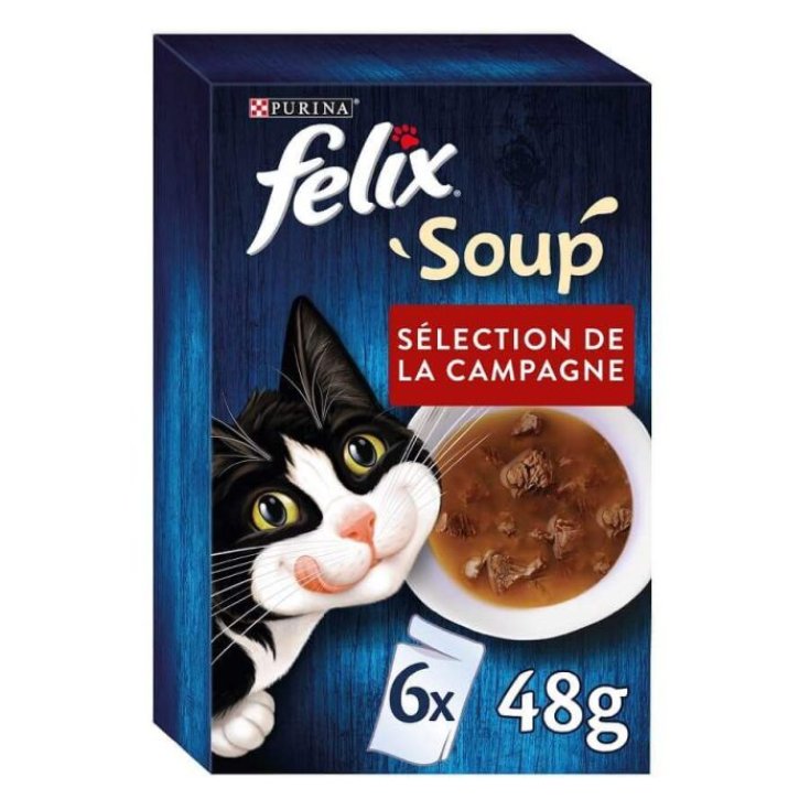 FELIX SOUP BEEF 48G