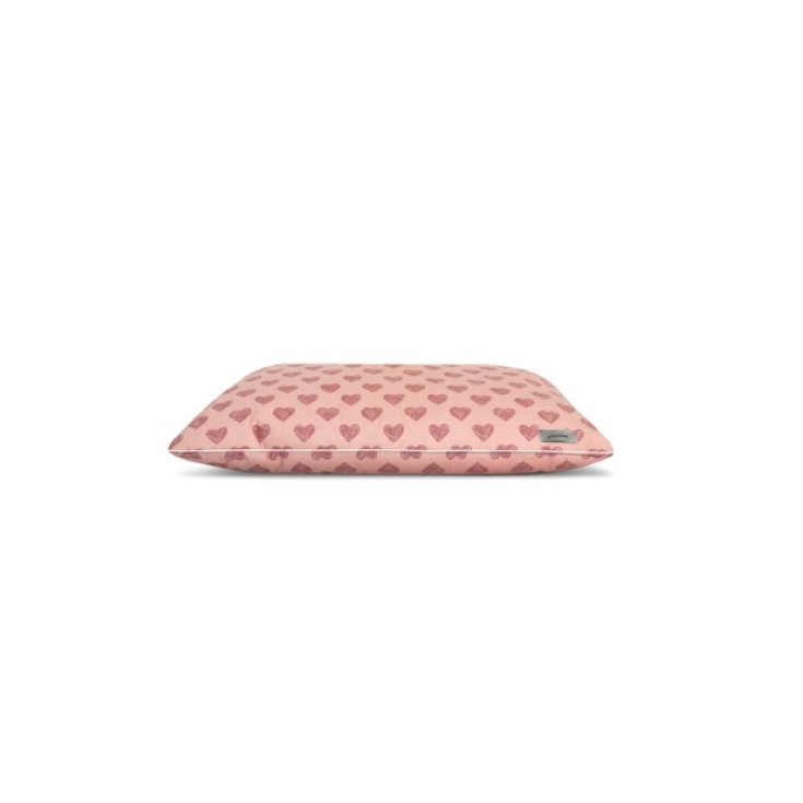 RECORD BYECTERIA PINK SOFA PINK CUSHION