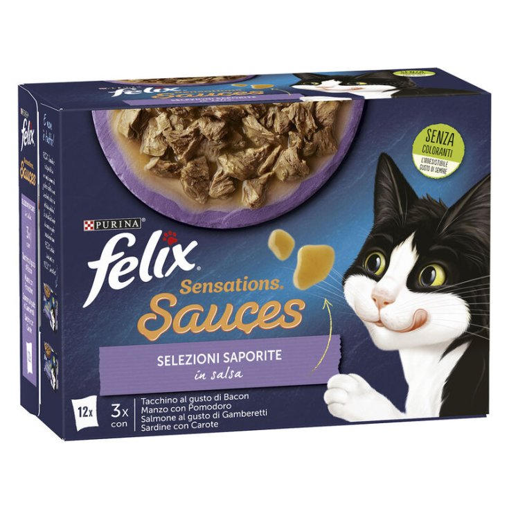 FELIX SENSAT SAUCES SEL FLAVOR