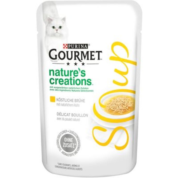 GOURMET NC SOUP CHICKEN & GREEN 40G