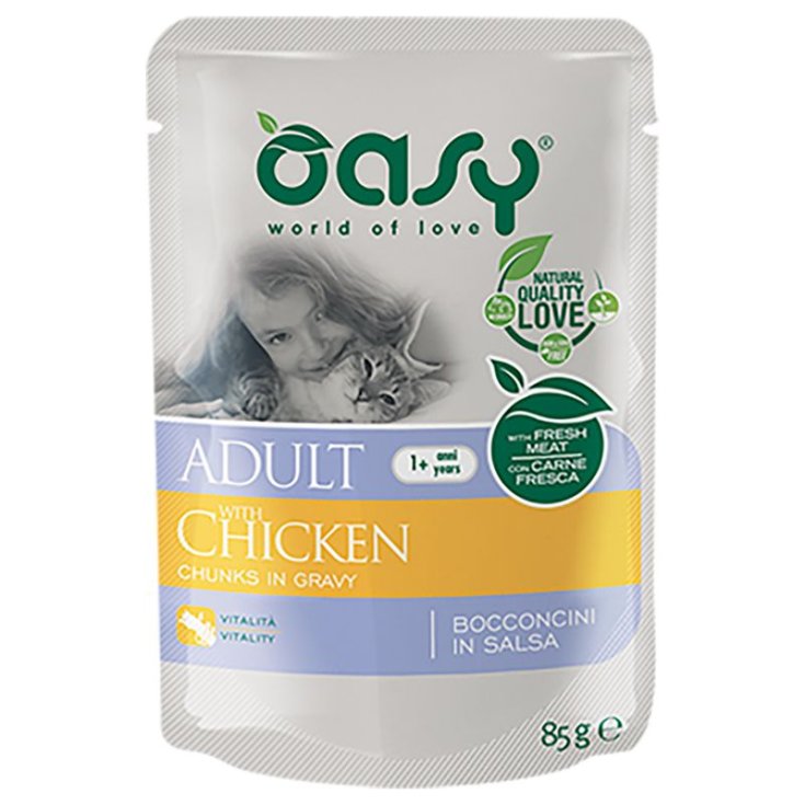 OASY WET CAT OF PATE IN AGNEL