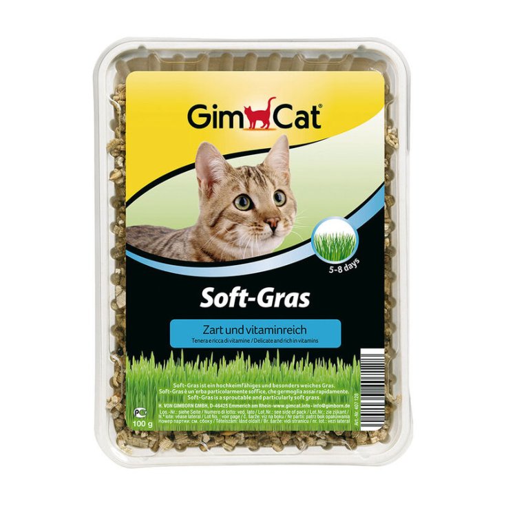 GIMCAT CATNIP EX.SOFT 100 GR