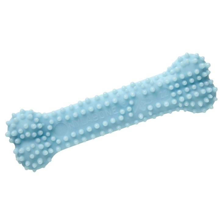 NYALBONE PUPPY TEETHING X-SMALL