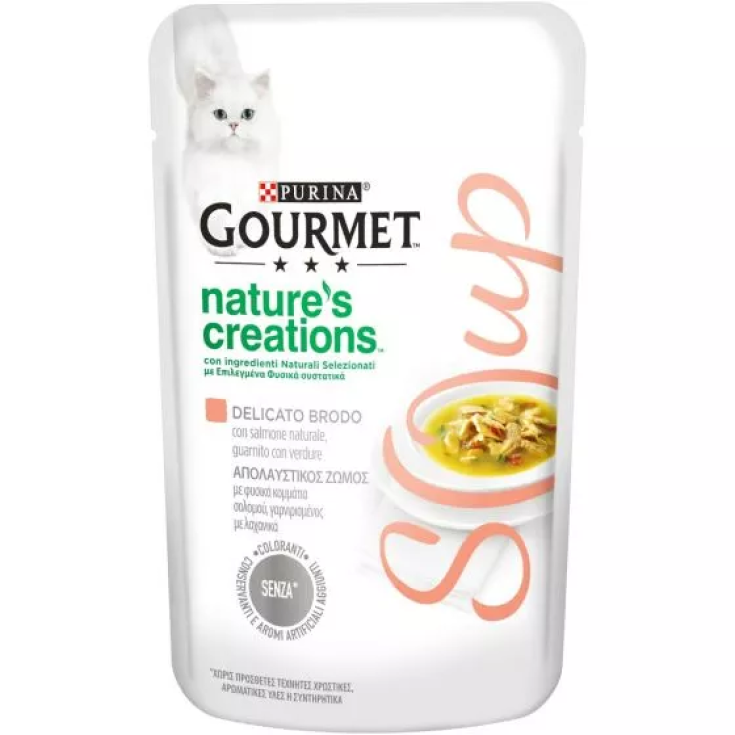 GOURMET NC SOUP SALMON&VER40G
