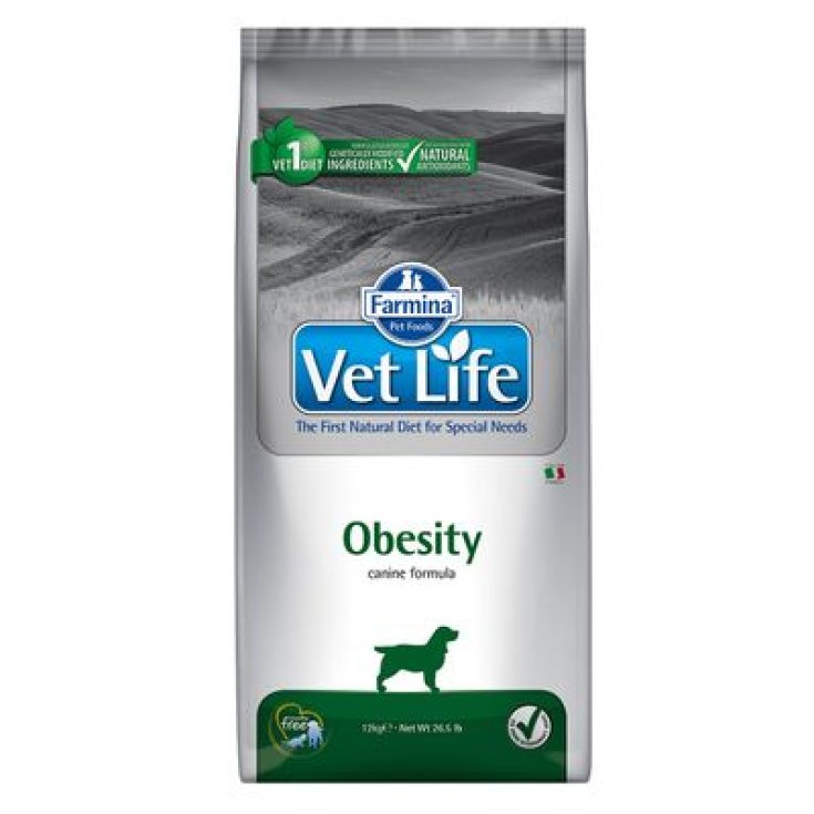VET LIFE NAT CAN OBESITY 12KG