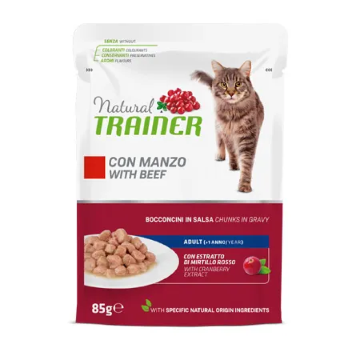 MAINTENANCE CATS WITH BEEF 85G
