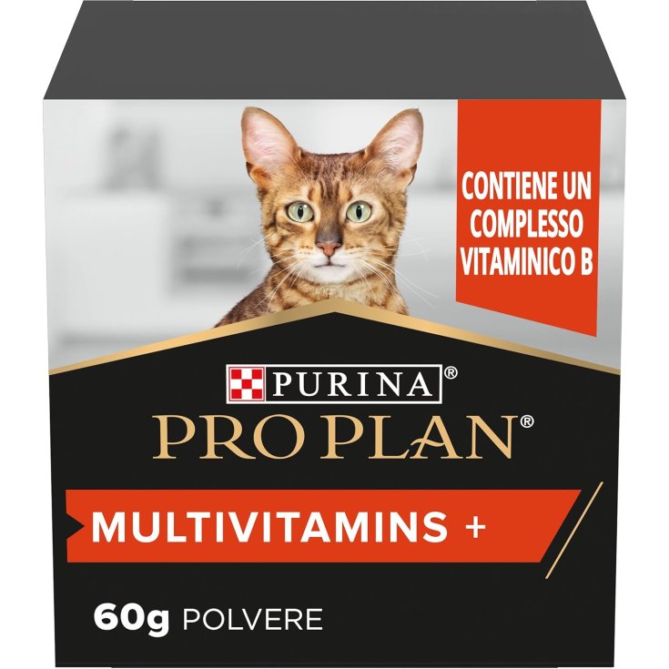 NP DETOX SENIOR CAT 2 KG