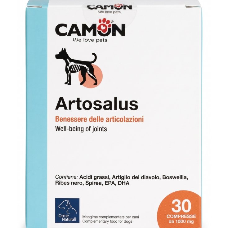 Artosalus Tablets 30 Tablets