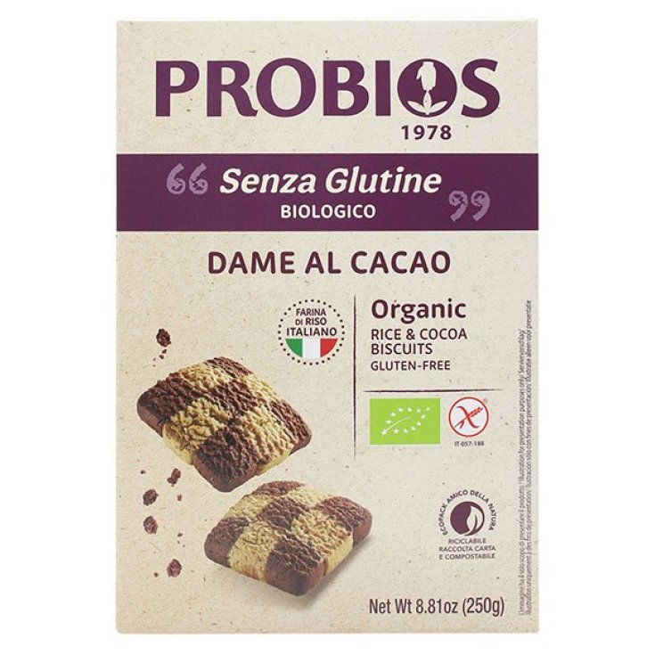 Rice & Rice Dame Of Rice With Cocoa Probios 250g