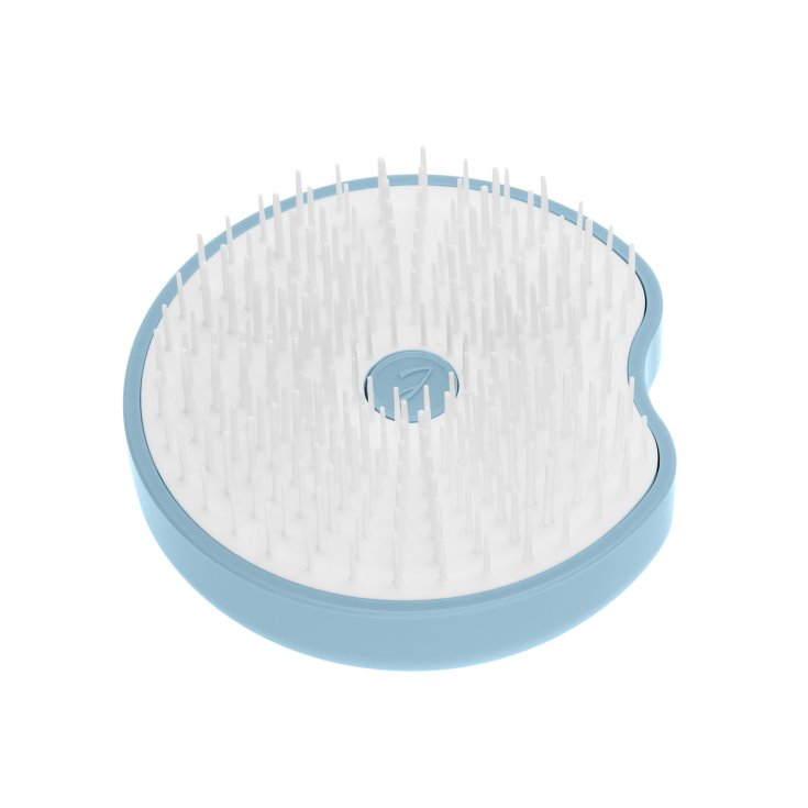 Spazzola Borsetta Pomme Tu