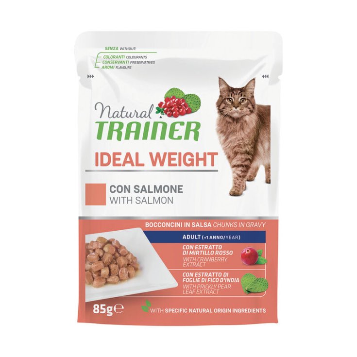 NT CAT SP. IDEAL WEIGHT SALMON BAG 85G