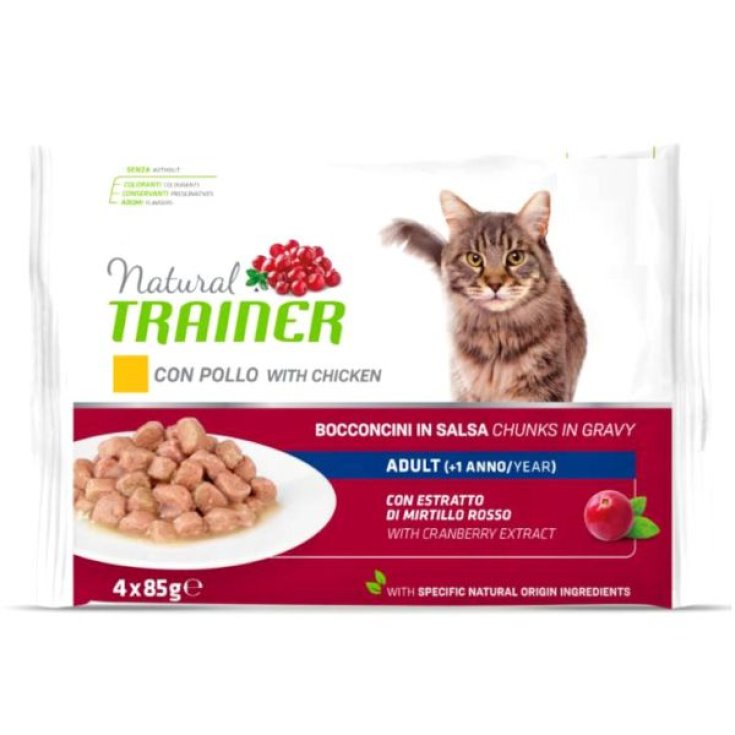 NFTR. FLOWPACK KITTEN&YOUNG 4 X 85 GR