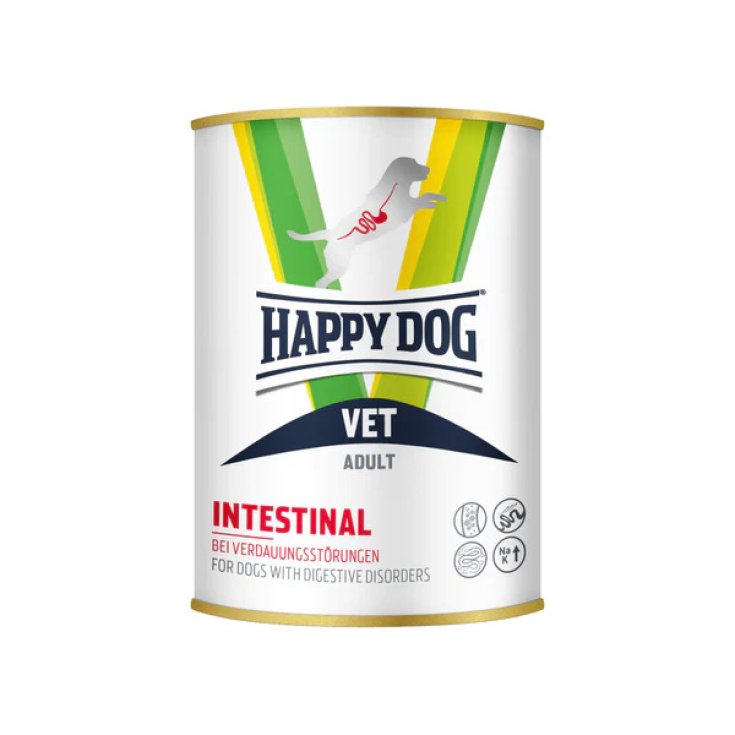 TP WET DOG INTESTINAL 300G