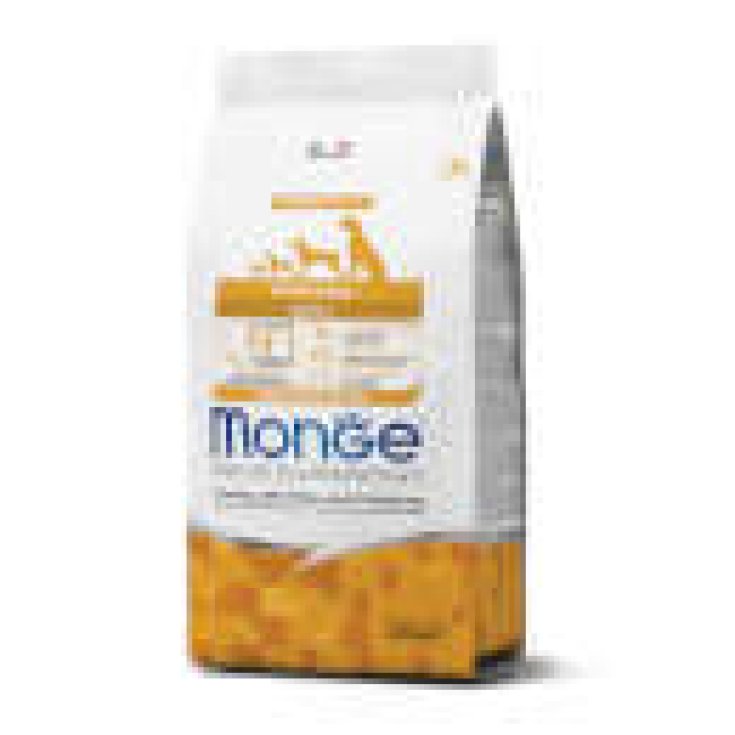 MONGE TURKEY R&P 2,5KG