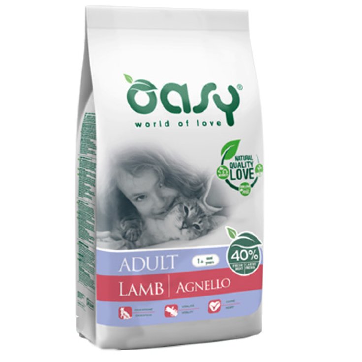 OASY DRY CAT WITH LAMB 300G