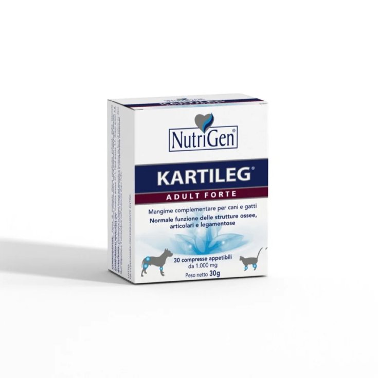 KARTILEG ADULT FORTE NutriGen 120 Tablets