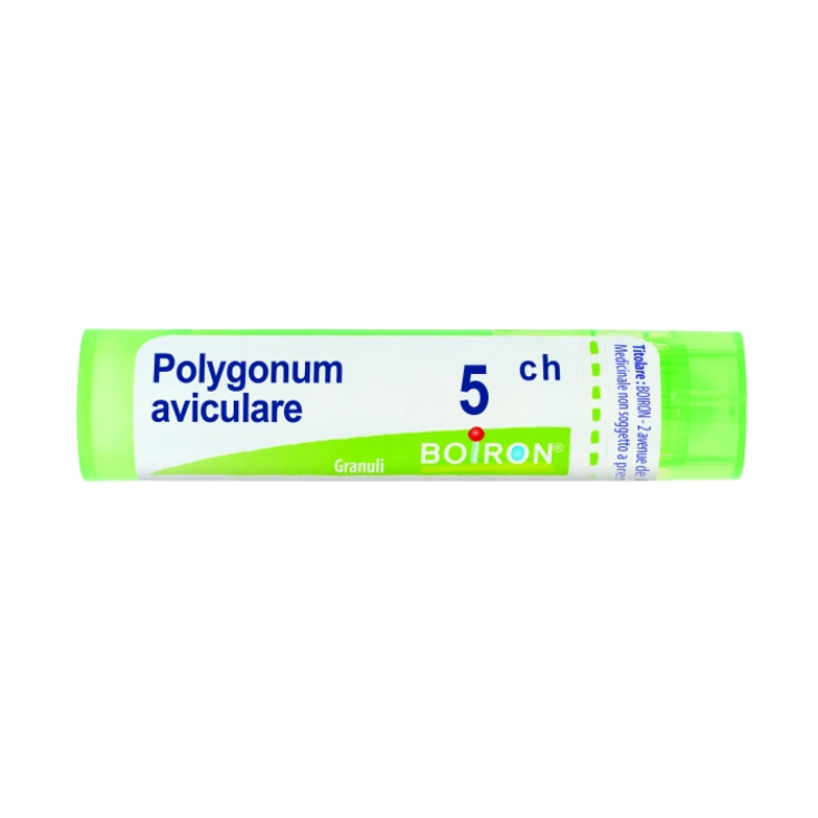 Boiron Polygonum Aviculare 5ch Granules