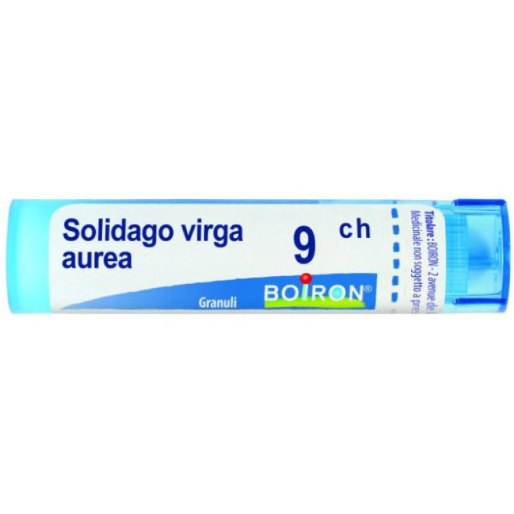 Boiron Solidago Virga Aurea 9ch Granules Homeopathic Remedy