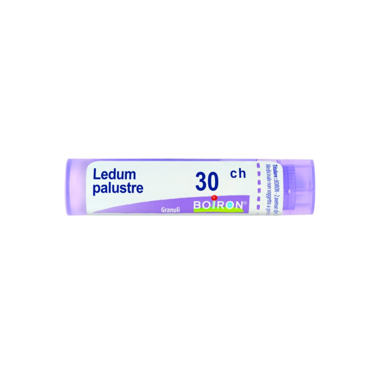 Ledum Palustre 30Ch BOIRON® Granules