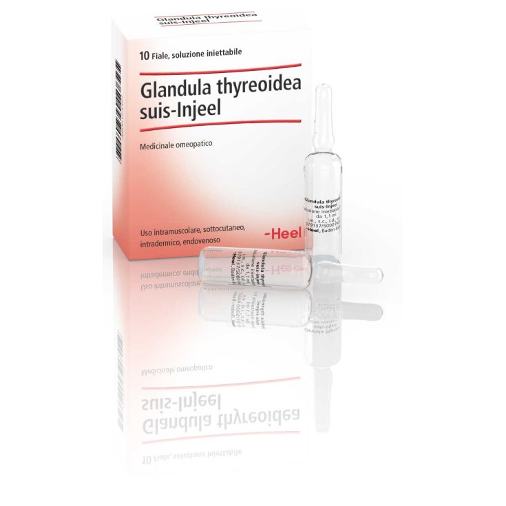 Glandula Thyreoidea Suis-Injeel Heel 10 Vials