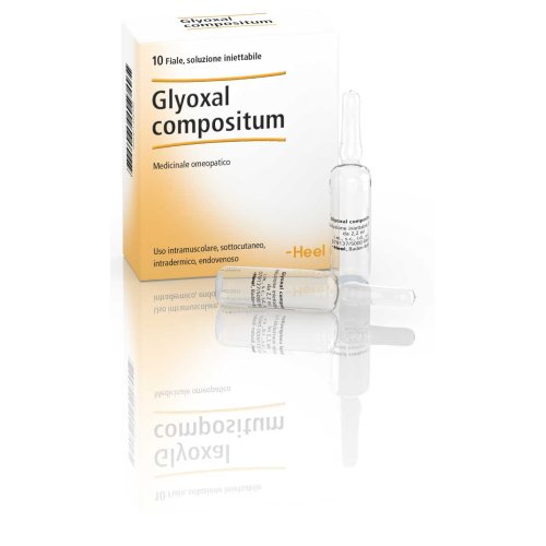Glyoxal Compositum Heel 10 Vials Of 2.2ml - Loreto Pharmacy