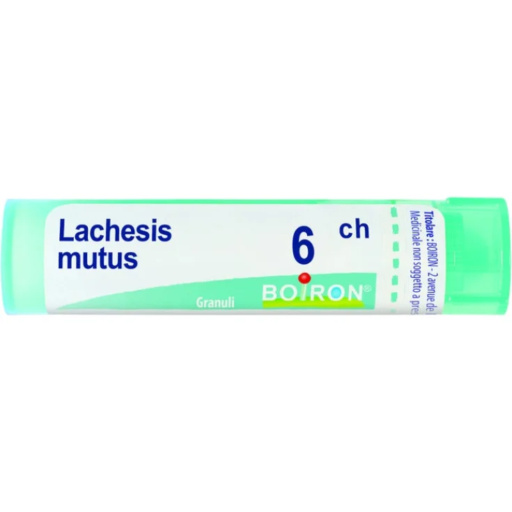 Lachesis Mutus 6ch Boiron® Granules