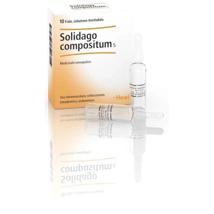 Solidago Compositum S Heel 10 Vials Of 2.2ml