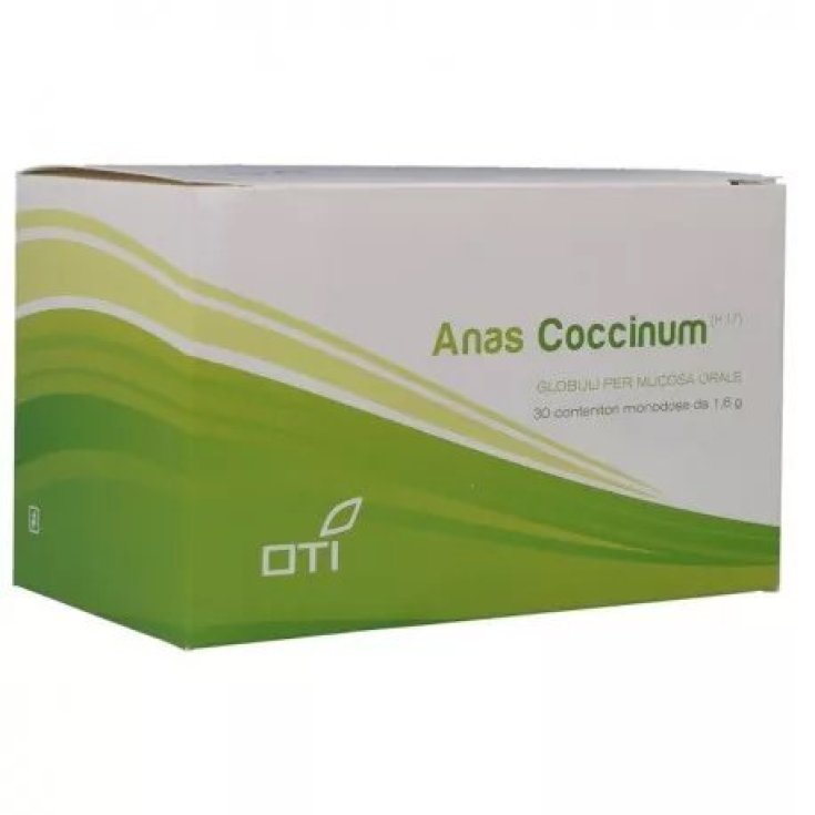 Anas coccinum h17 30 f glo