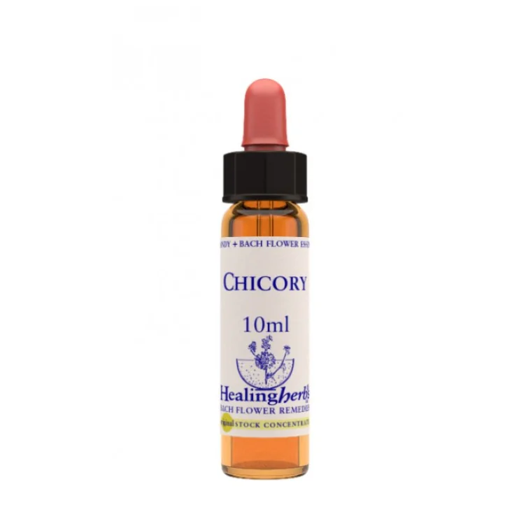 Chicory Floral Essence 10ml