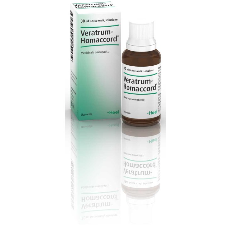 Veratrum Homaccord Heel Drops 30ml