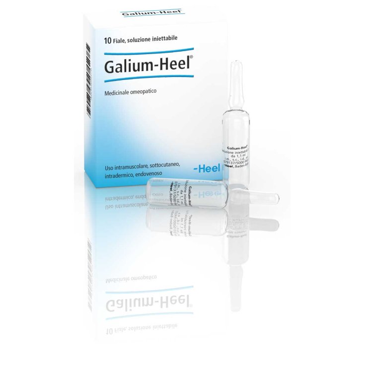 Galium-Heel 10 Vials Of 1.1ml