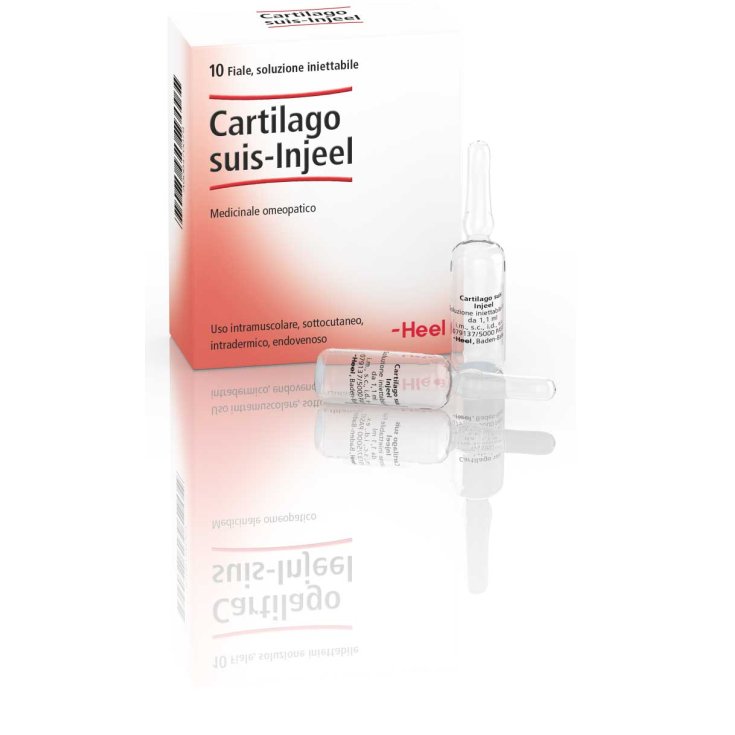 Cartilago Suis-Injeel Heel 10 Vials Of 1.1ml