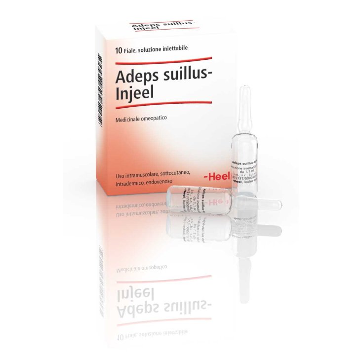 Adeps Suillus-Injees Heel 10 Vials Of 1.1ml