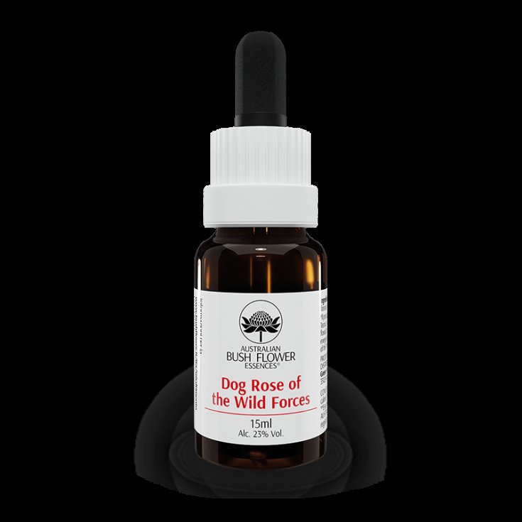 Australian Flowers Dog Rose Of The Wild Forces Drops 15ml