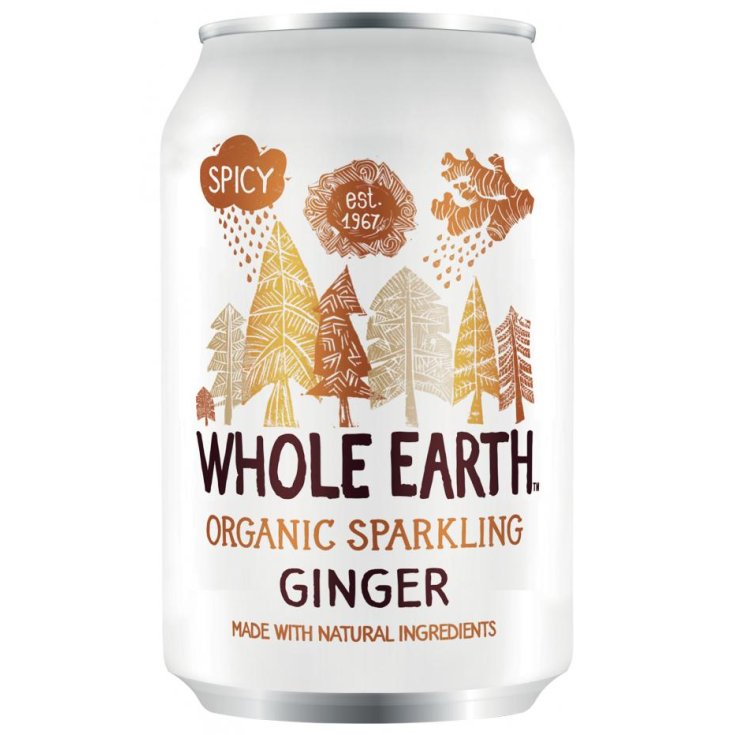 Whole Earth Bio Ginger Sugar Free Probios 330ml