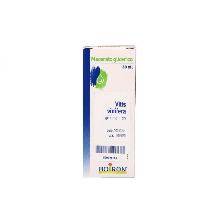 Vitis Vinifera 60ml Mg