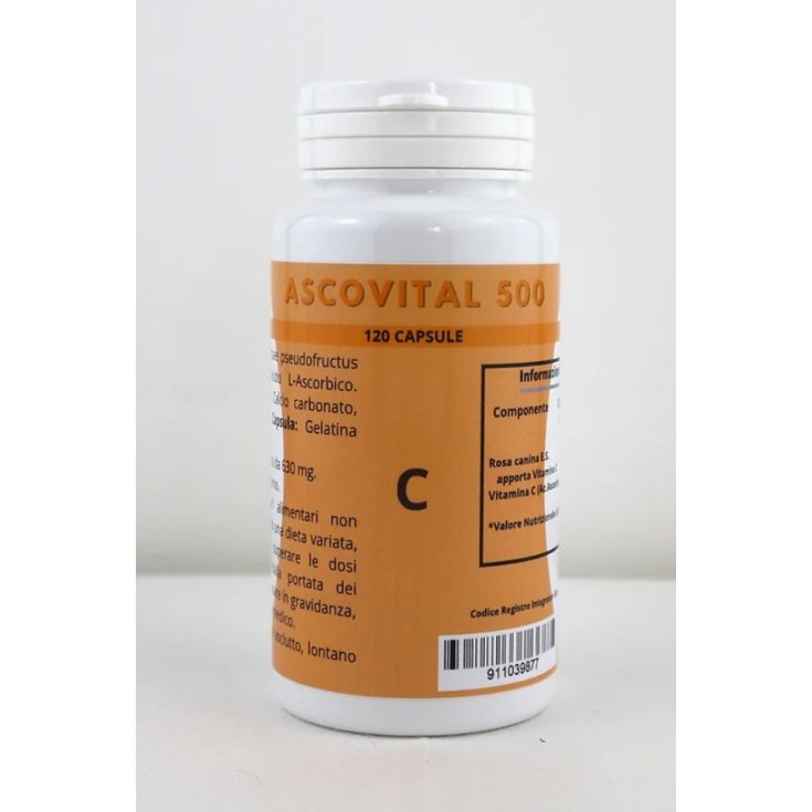 Ascovital 500 120cps