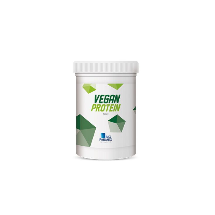 Biofarmex Vegan Protein Food Supplement 500g