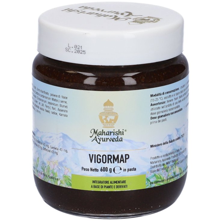 Vigormap Pasta 600g