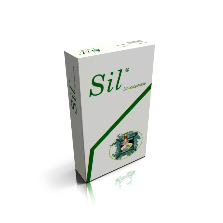 Silymarin + Vitamin E 450g