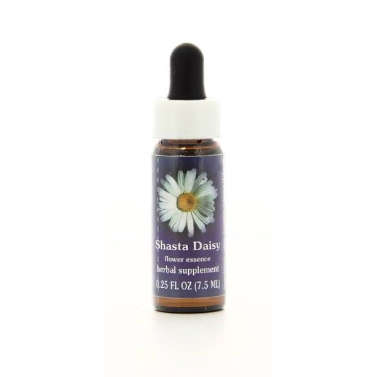 Shasta Daisy Californian Essences 7,4ml