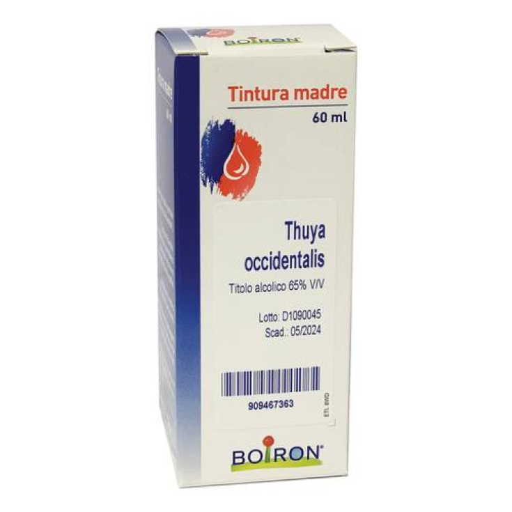 Cemon Thuya Occidentalis 60ml Mother Tincture