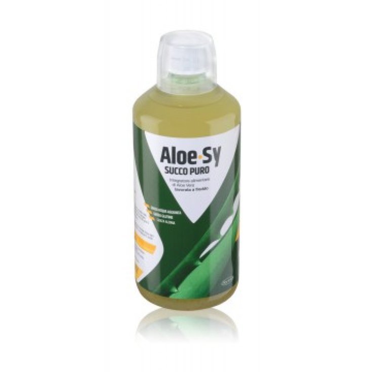 Aloe-Sy Pure Juice Aloe Taste Fruit 1000ml