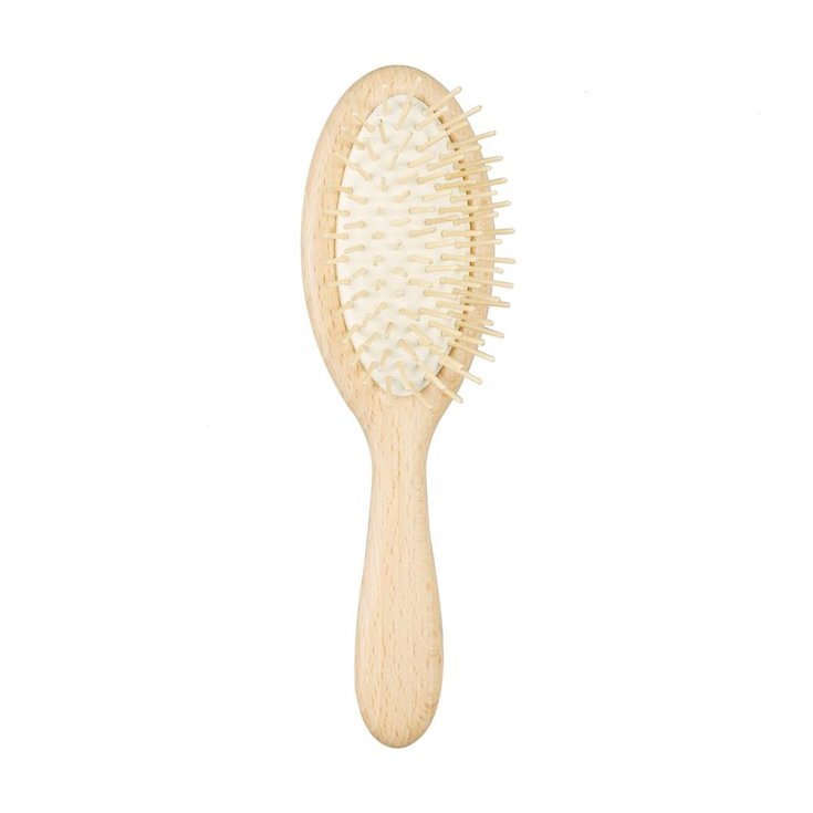 Pg Wood Brush Oval.pc
