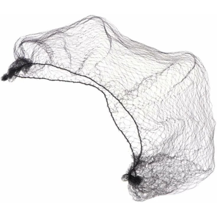 Pmc Net For Chignon