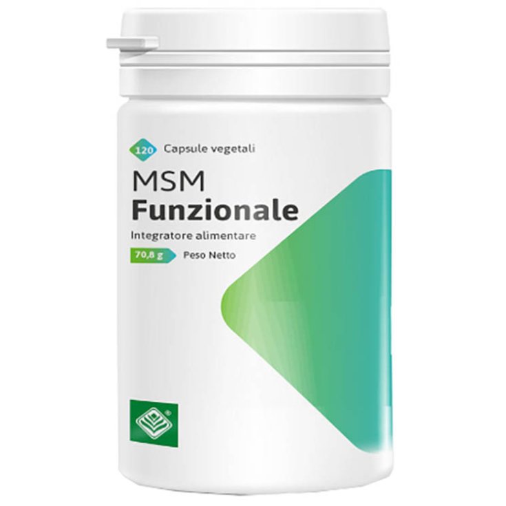 Functional MSM GHEOS 120 Capsules