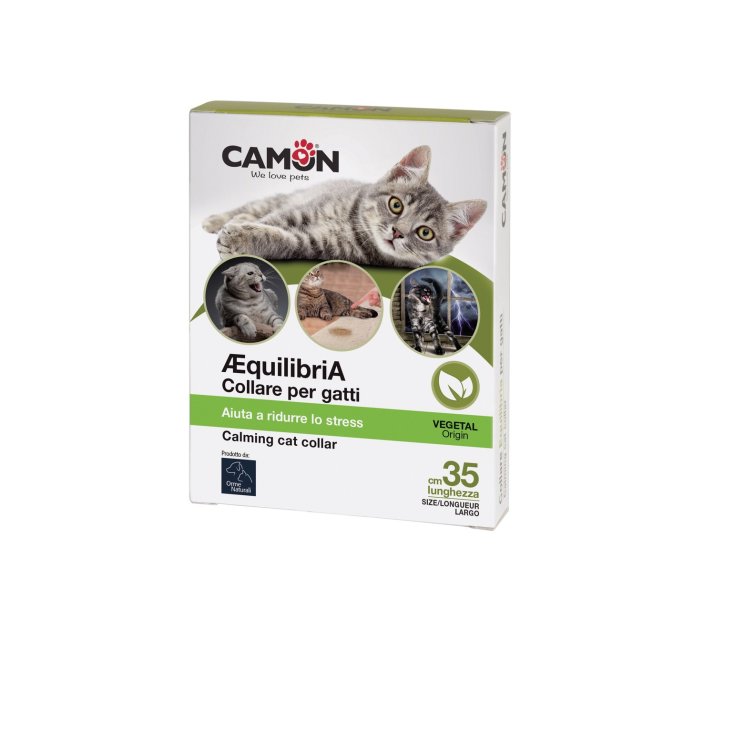 Camon Equilibria Collar For Cats Helps Reduce Stress