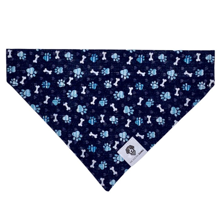 PM Bandana