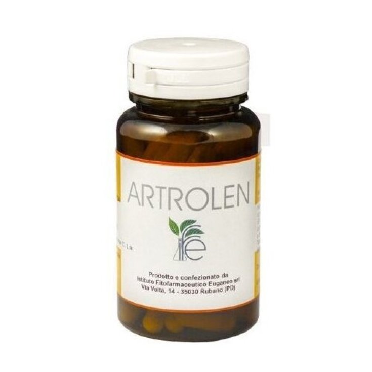 Ife Artrolen Food Supplement 80 Capsules