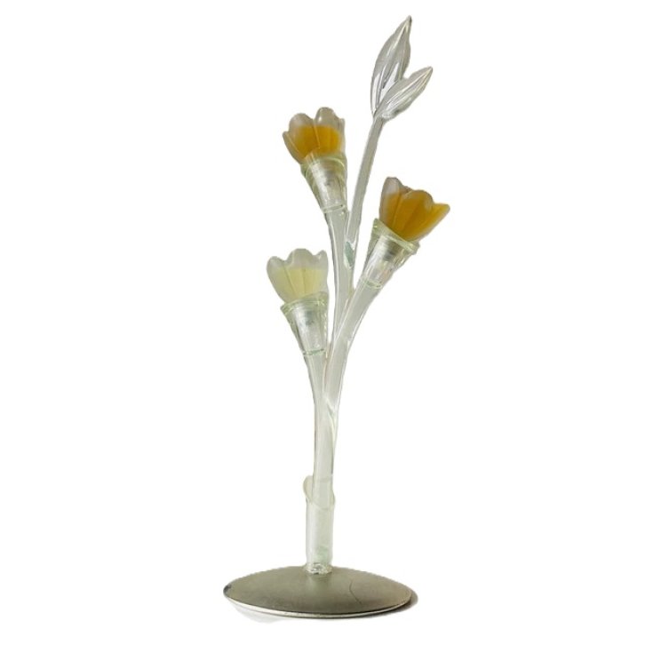 Pupa Bouquet de Parfums Fleur De Pecher 45 3x15ml Pupa Bouquet de Parfums Fleur De Pecher 45 3x15ml